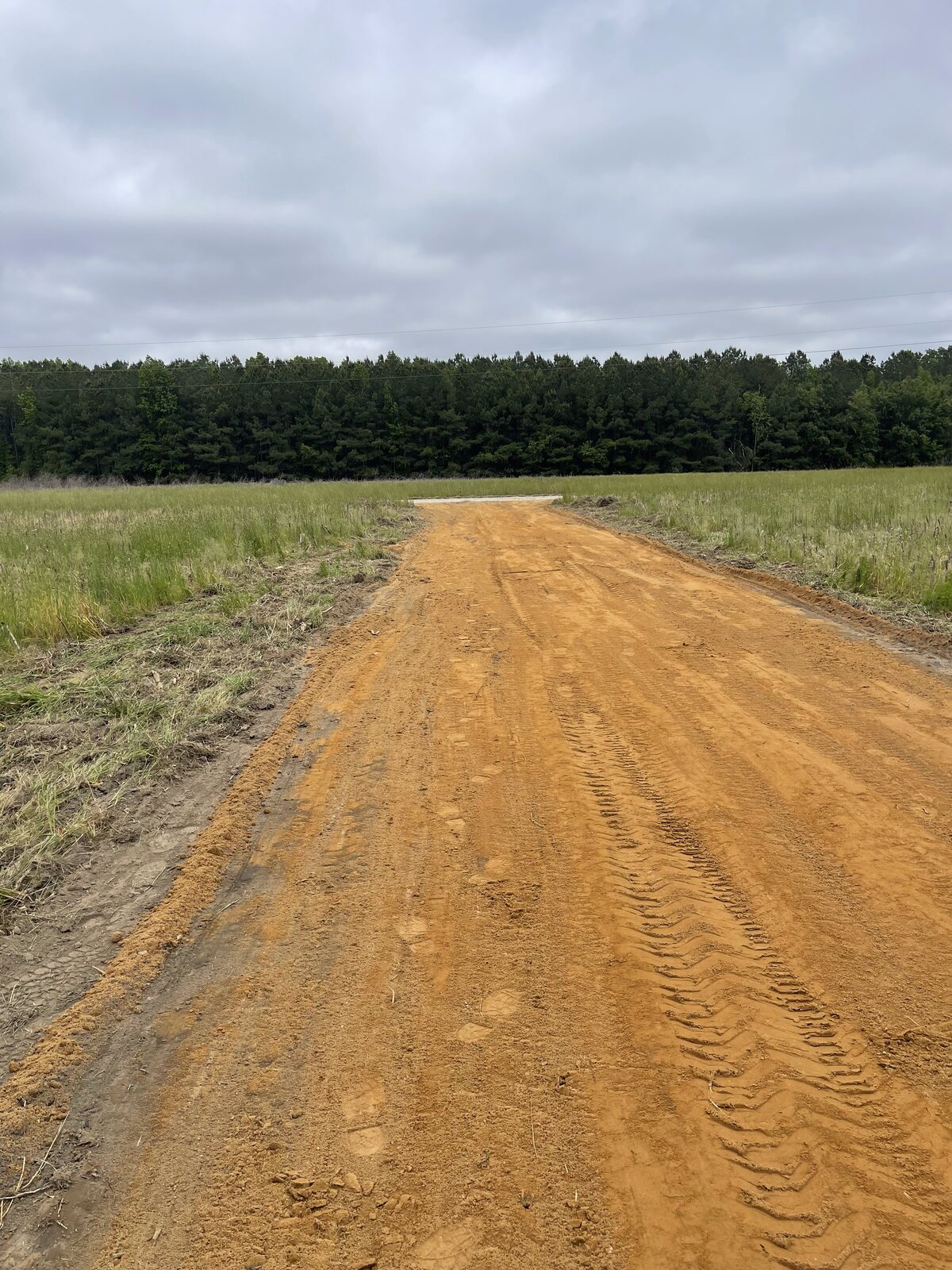 The build at Orenda Pastures — photo 3 of 37